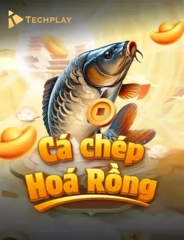 Cá Chẹp Hổ Rồng